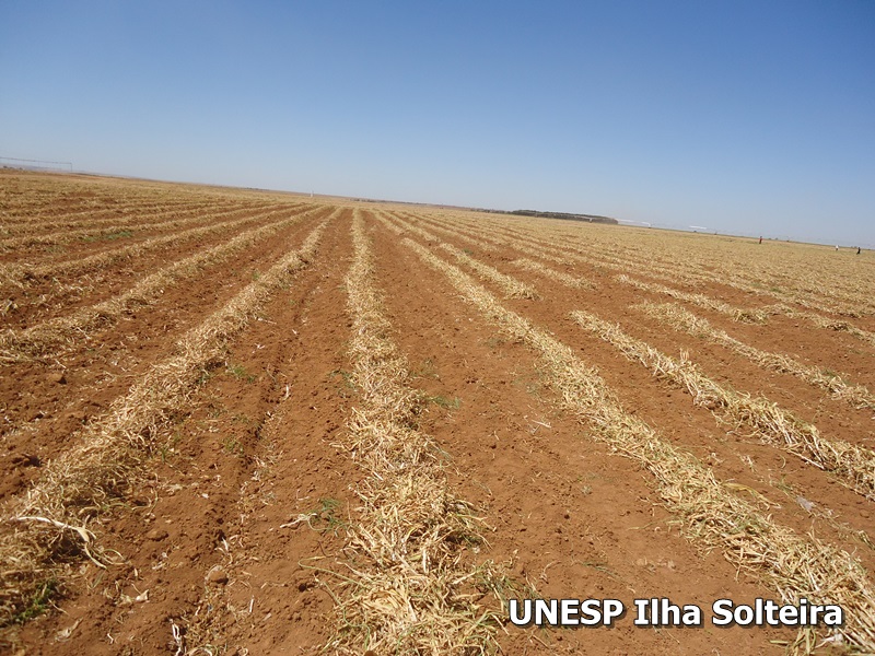 conird_2014 (25).JPG